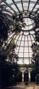 The Royal greenhouse of Laeken