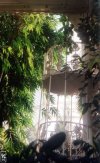 Kew Garden's Palm House greenhouse