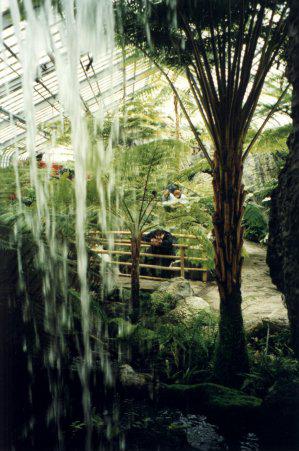 The botanical garden of Montreal (file)